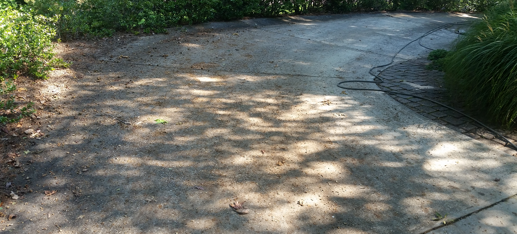 Driveway in Peachtree City, Ga in need of professional washing