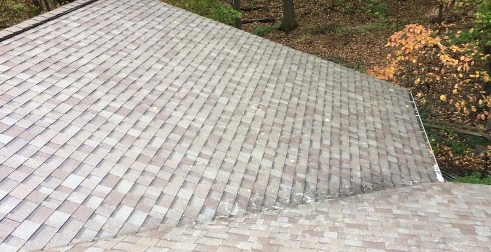 Shingle roof safely cleaned with low pressure to remove algae.